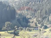 Casă în Vatra Dornei, zona Argestru, cu 11.541m.p. TERE... 