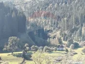 Casă în Vatra Dornei, zona Argestru, cu 11.541m.p. TERE... 