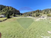 Casă în Vatra Dornei, zona Argestru, cu 11.541m.p. TERE...