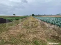 Teren de vanzare, 4700 mp, Strada Brazilor