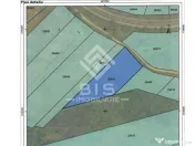 Teren Intravilan - Viisoara 