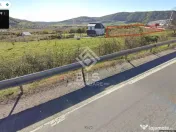 Teren Intravilan - Viisoara 