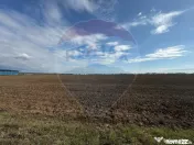 TEREN 26.500 mp -BUFTEA - INDUSTRIAL / COMERCIAL