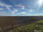 VANZARE Teren intravilan industrial BUFTEA/Strada Milano/... 