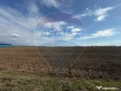 VANZARE Teren intravilan industrial BUFTEA/Strada Milano/... 