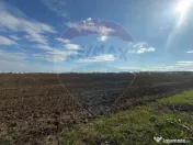 VANZARE Teren intravilan industrial BUFTEA/Strada Milano/... 