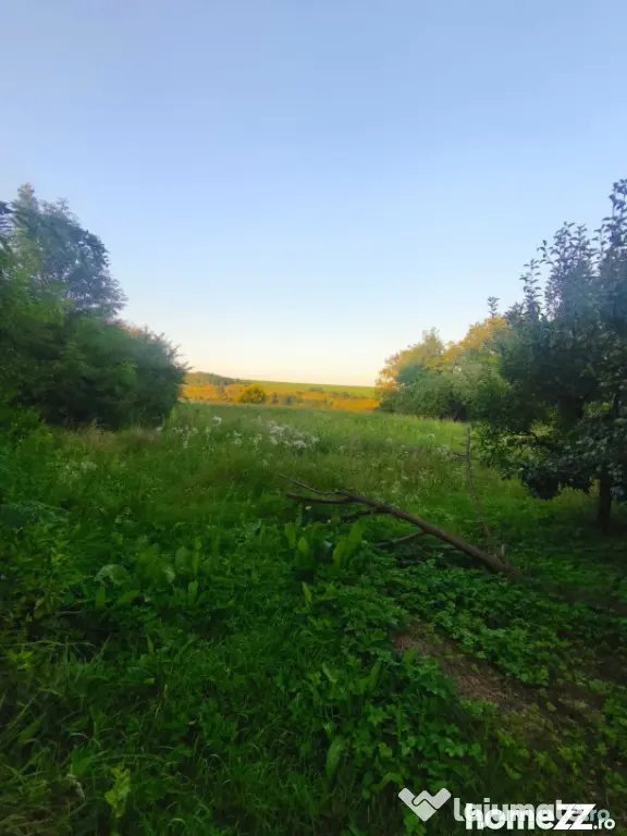 Casa individuala, 3500mp teren, zona Negostina, Siret