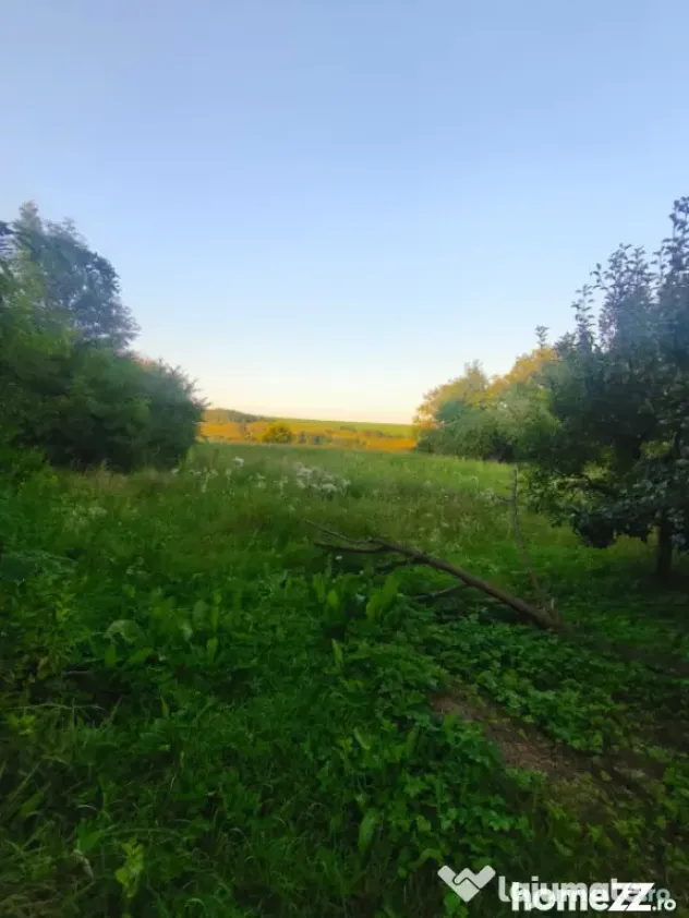 Casa individuala, 3500mp teren, zona Negostina, Siret