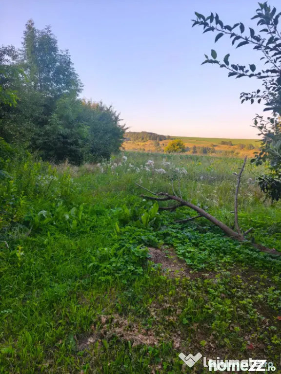 Casa individuala, 3500mp teren, zona Negostina, Siret