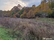 Teren 1,717mp Margineni / Strada Sat podis 