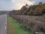 Teren 1,717mp Margineni / Strada Sat podis 