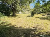 TEREN INTRAVILAN 3234 MP LEREȘTI VOINEȘTI ARGEȘ 