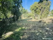 TEREN INTRAVILAN 3234 MP LEREȘTI VOINEȘTI ARGEȘ 