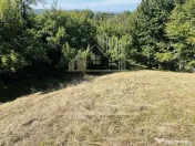 TEREN INTRAVILAN 3234 MP LEREȘTI VOINEȘTI ARGEȘ 