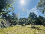 TEREN INTRAVILAN 3234 MP LEREȘTI VOINEȘTI ARGEȘ 