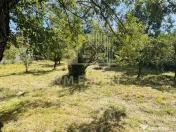 TEREN INTRAVILAN 3234 MP LEREȘTI VOINEȘTI ARGEȘ 