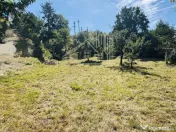 TEREN INTRAVILAN 3234 MP LEREȘTI VOINEȘTI ARGEȘ 