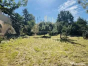 TEREN INTRAVILAN 3234 MP LEREȘTI VOINEȘTI ARGEȘ 