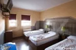 Pensiune de inchiriat, 450 mp, zona Lugojului
