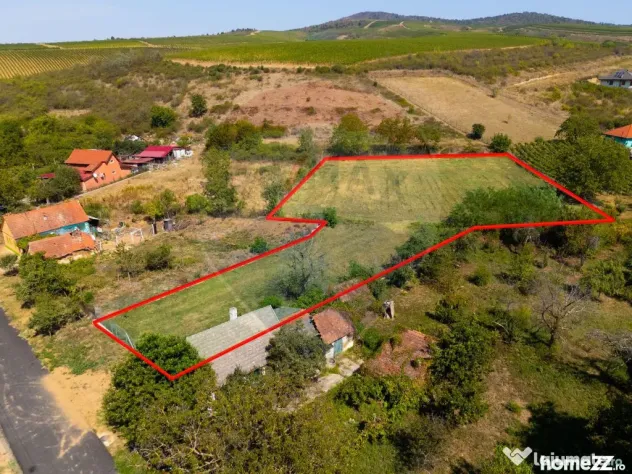 Miniș- destinația ideală pentru o resedință de lux ?... - Minis (Arad)
