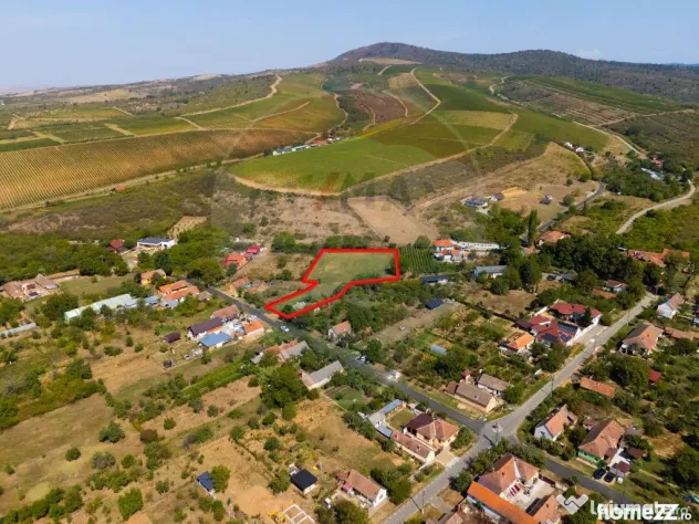 Miniș- destinația ideală pentru o resedință de lux ?... - Minis (Arad)
