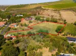 Miniș- destinația ideală pentru o resedință de lux ?...