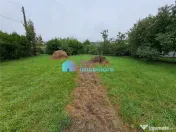 Vila spatioasa Itcani 