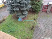 Vila spatioasa Itcani