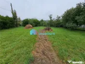 Vila spatioasa Itcani