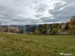 Teren spectaculos, ideal pentru cabana, parcelabil, in Maris