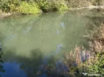 Teren imprejmuit cu iaz indiguit, 7200mp, Fratautii Vechi, R
