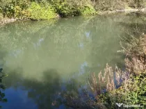 Teren imprejmuit cu iaz indiguit, 7200mp, Fratautii Vechi, R