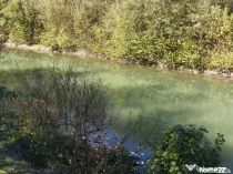 Teren imprejmuit cu iaz indiguit, 7200mp, Fratautii Vechi, R
