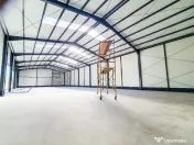 Hale,spatii industriale Albota,Pitesti Arges 
