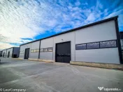 Hale,spatii industriale Albota,Pitesti Arges 