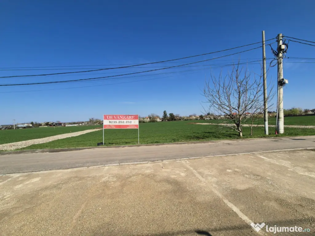 Snagov- Ciofliceni, loturi de casă între 504-670mp, Șerba