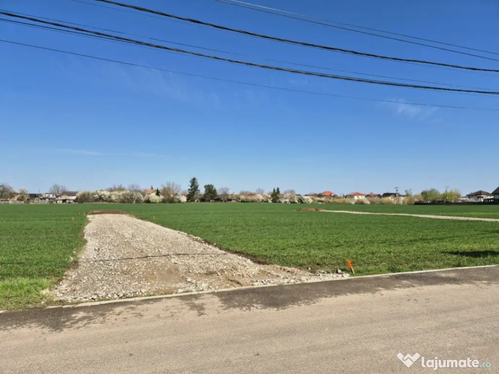 Snagov- Ciofliceni, loturi de casă între 504-670mp, Șerba