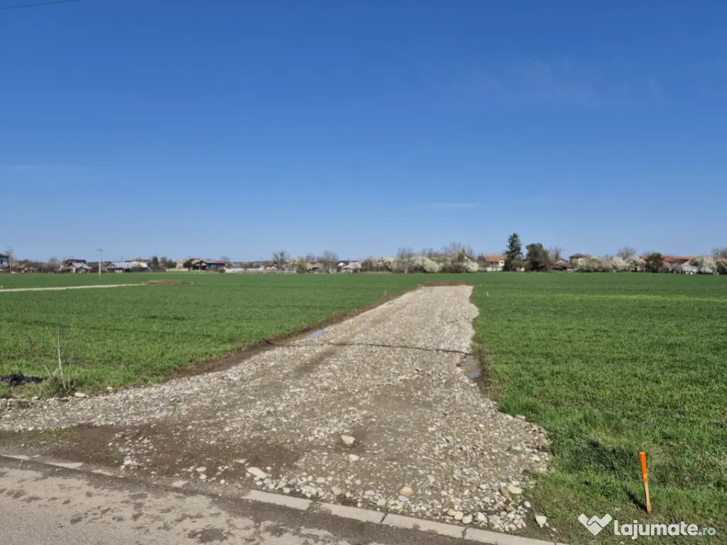 Snagov- Ciofliceni, loturi de casă între 504-670mp, Șerba