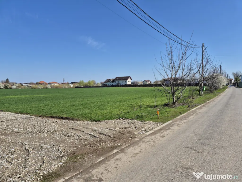 Snagov- Ciofliceni, loturi de casă între 504-670mp, Șerba