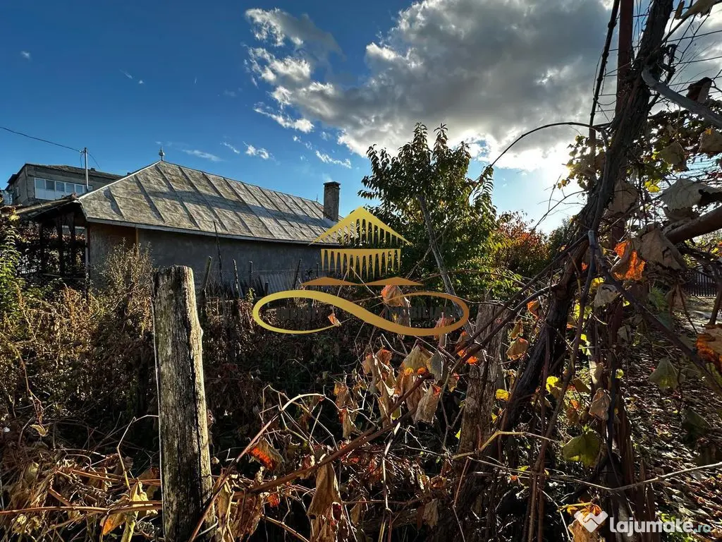 Casa batraneasca din caramida de vanzare si 4500 mp teren...
