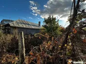 Casa batraneasca din caramida de vanzare si 4500 mp teren... 