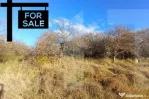 Oportunitate de investitie in zona Wonderland