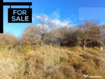 Oportunitate de investitie in zona Wonderland