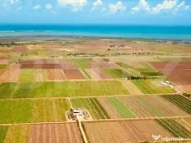 Terenuri extravilane agricole de vanzare - Voila, Brasov 22.