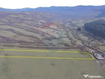 Teren 5.800 mp Purcareni curent, gaz, apă / Strada 30 de...