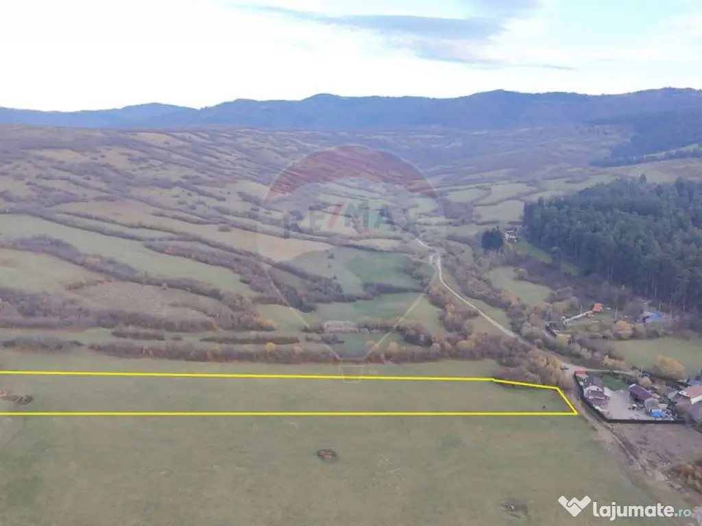 Teren 5.800 mp Purcareni curent, gaz, apă / Strada 30 de...