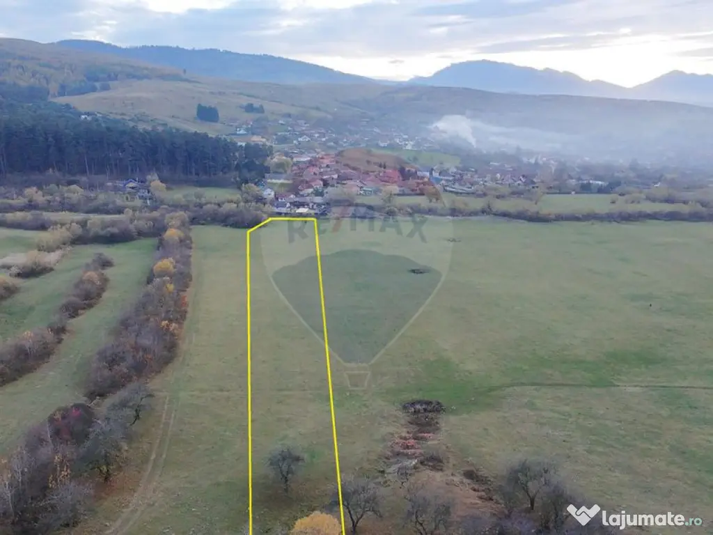 Teren 5.800 mp Purcareni curent, gaz, apă / Strada 30 de...