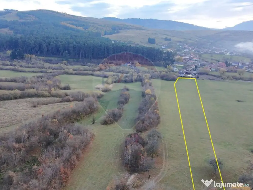 Teren 5.800 mp Purcareni curent, gaz, apă / Strada 30 de...