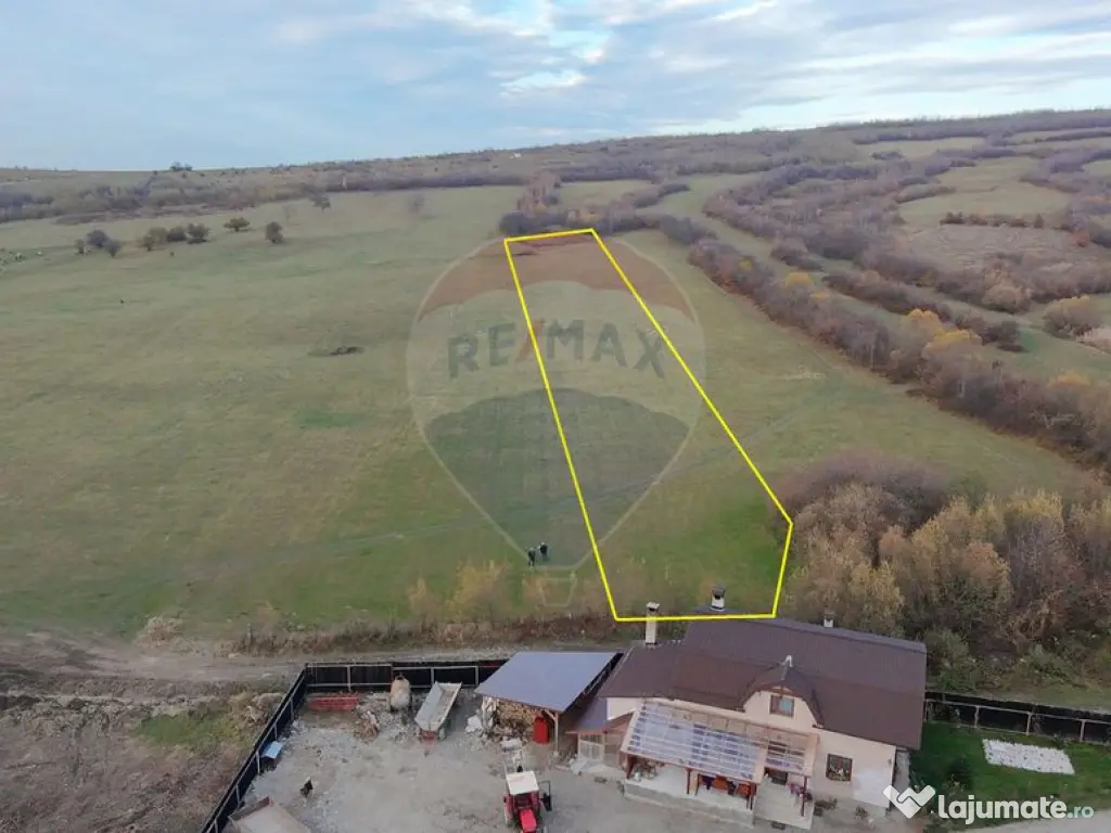 Teren 5.800 mp Purcareni curent, gaz, apă / Strada 30 de...