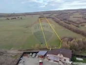 Teren 5.800 mp Purcareni curent, gaz, apă / Strada 30 de... 